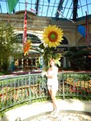 Las Vegas anniversary trip photo 45