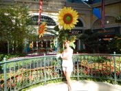 Las Vegas anniversary trip photo 46