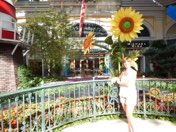 Las Vegas anniversary trip photo 47