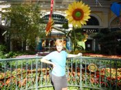 Las Vegas anniversary trip photo 50