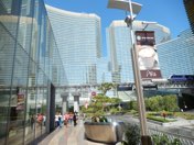 Las Vegas anniversary trip photo 70