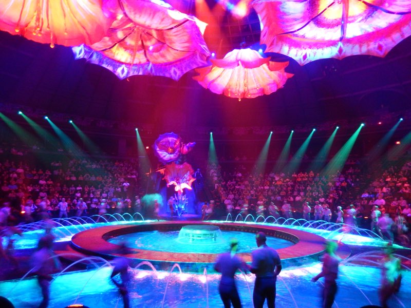 Las Vegas anniversary trip photo 114