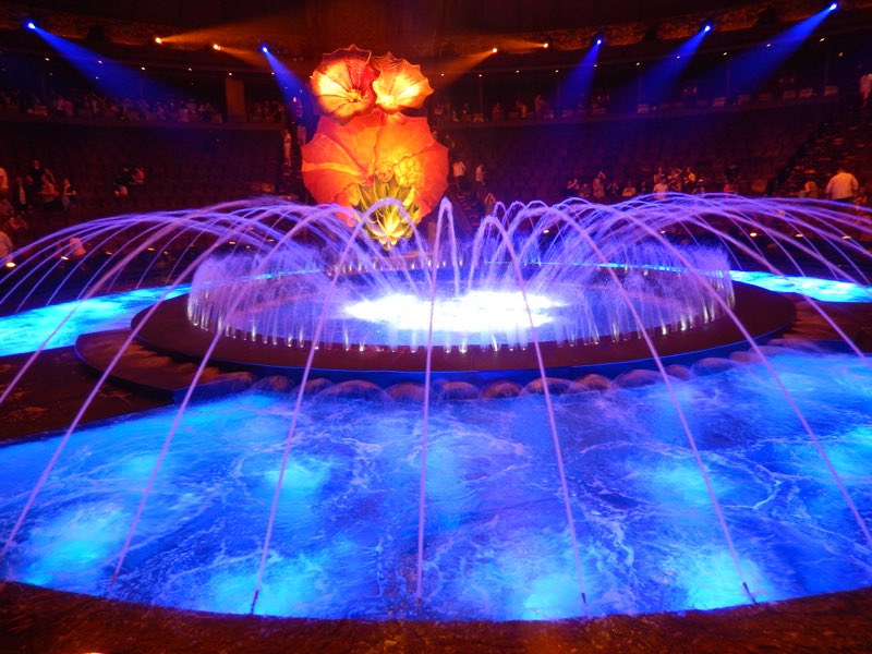 Las Vegas anniversary trip photo 119