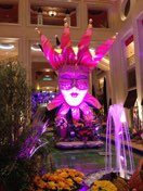 Las Vegas anniversary trip photo 209
