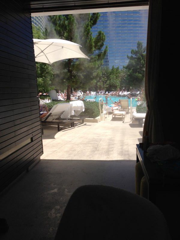 Las Vegas anniversary trip photo 214