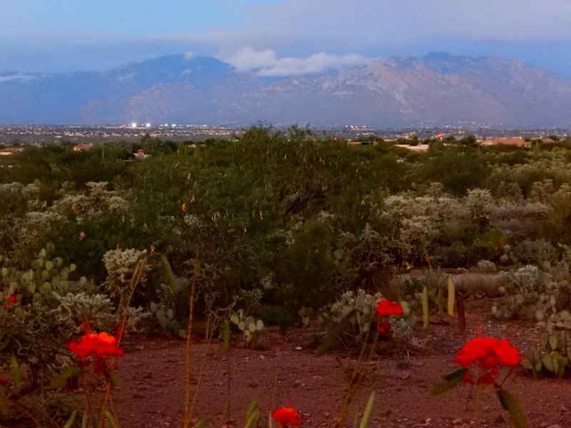 Favorite places photo 18